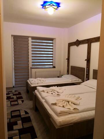 Фото номера Улучшенный трехместный номер Хостелы Hostel Alex - Complex Dumbrava Minunata г. Кымпулунг-Молдовенеск 2