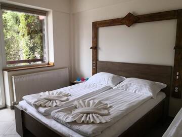 Фото номера Улучшенный двухместный номер с 1 кроватью Хостелы Hostel Alex - Complex Dumbrava Minunata г. Кымпулунг-Молдовенеск 2